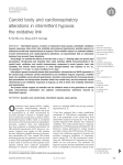 Carotid body and cardiorespiratory alterations in intermittent hypoxia: the oxidative link