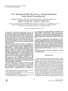 HL-1 Myocytes Exhibit PKC and K Channel-Dependent Delta Opioid Preconditioning