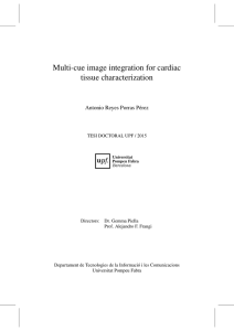 Multi-cue image integration for cardiac tissue characterization Antonio Reyes Porras P´erez
