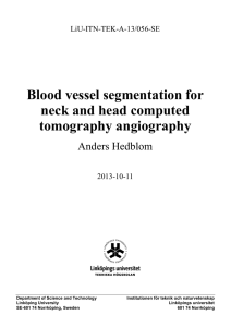 Blood vessel segmentation for neck and head computed tomography angiography Anders Hedblom