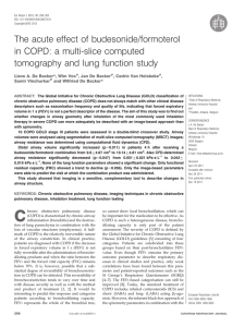 The acute effect of budesonide/formoterol in COPD: a multi-slice computed