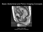 Basic Abdominal and Pelvic Imaging Concepts  David L. Smith, MD