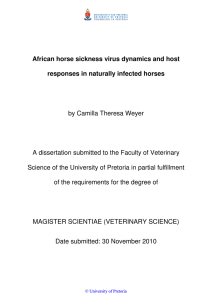 African horse sickness virus dynamics and host  by Camilla Theresa Weyer