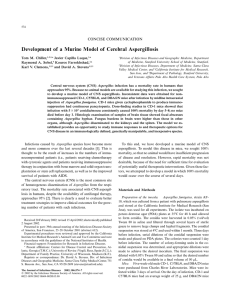 Development of a Murine Model of Cerebral Aspergillosis CONCISE COMMUNICATION