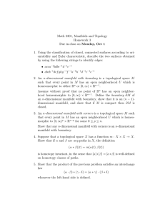 Math 8301, Manifolds and Topology Homework 3
