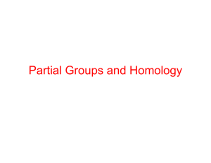 Partial Groups and Homology