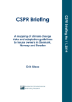 CSPR Briefing CS PR B