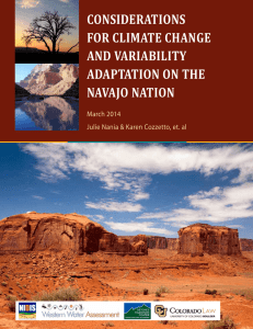 CONSIDERATIONS FOR CLIMATE CHANGE AND VARIABILITY ADAPTATION ON THE