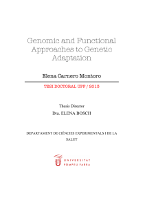 Genomic and Functional Approaches to Genetic Adaptation