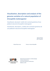 Visualization, description and analysis of the Drosophila melanogaster