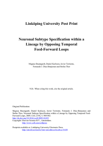 Linköping University Post Print Neuronal Subtype Specification within a Feed-Forward Loops