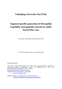Linköping University Post Print Segment-specific generation of Drosophila