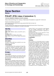 Gene Section POU4F1 (POU class 4 homeobox 1) in Oncology and Haematology