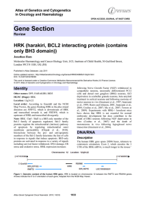 Gene Section HRK (harakiri, BCL2 interacting protein (contains only BH3 domain))