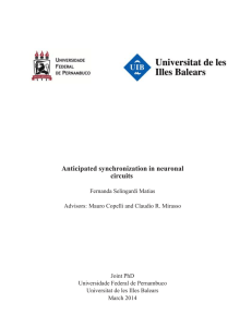 Anticipated synchronization in neuronal circuits