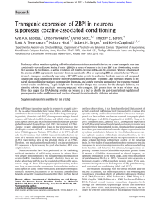 Transgenic expression of ZBP1 in neurons suppresses cocaine-associated conditioning