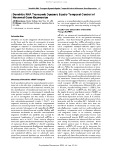 Dendritic RNA Transport: Dynamic Spatio-Temporal Control of Neuronal Gene Expression