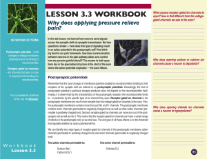 LESSON 3.3 WORKBOOK