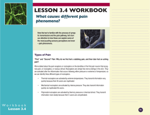 LESSON 3.4 WORKBOOK