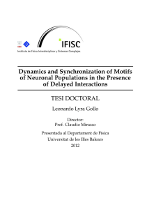 Dynamics and Synchronization of Motifs of Neuronal Populations in the Presence