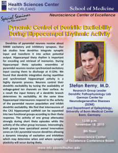 Special Seminar Dynamic Control of Dentritic Excitability During Hippocampal Rhythmic Activity