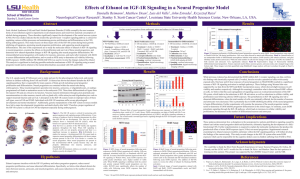 Effects of Ethanol on IGF-1R Signaling in a Neural Progenitor...