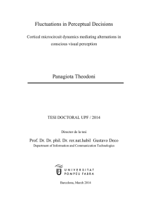 Fluctuations in Perceptual Decisions  Panagiota Theodoni