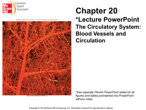 Chapter 20 *Lecture PowerPoint The Circulatory System: Blood Vessels and