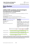 Gene Section COPS2 (COP9 constitutive photomorphogenic homolog subunit 2 (Arabidopsis))