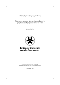 Electron transport, interaction and spin in graphene and graphene nanoribbons Artsem Shylau