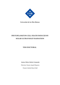 PHYTOPLANKTON CELL DEATH INDUCED BY SOLAR ULTRAVIOLET RADIATION TESI DOCTORAL