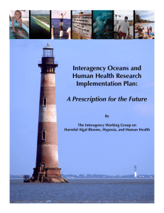 Interagency Oceans and Human Health Research Implementation Plan: A Prescription for the Future