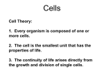 Cells