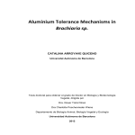 Aluminium Tolerance Mechanisms in Brachiaria sp.  CATALINA ARROYAVE QUICENO