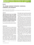 –potassium intersection: membranes, The nitrogen metabolism, and mechanism Review