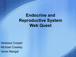 Endocrine and Reproductive System Web Quest Vanessa Cooper