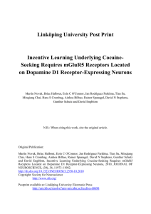 Linköping University Post Print Incentive Learning Underlying Cocaine-