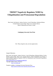 TRIM27 Negatively Regulates NOD2 by Ubiquitination and Proteasomal Degradation