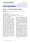 Deep Insight Section The Fas - Fas Ligand apoptotic pathway