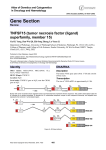 Gene Section TNFSF15 (tumor necrosis factor (ligand) superfamily, member 15)