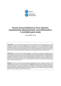 Human Immunodeficiency Virus infection, asymptomatic atherosclerosis, and inflammation: A candidate gene study