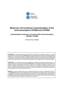 Molecular and functional characterization of the immunoreceptors CD300d and CD300f