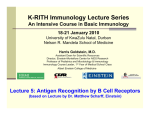 Lecture 5: Antigen Recognition by B Cell Receptors