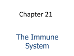 Chapter 21 The Immune System
