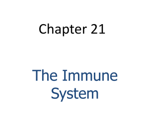 Chapter 21 The Immune System