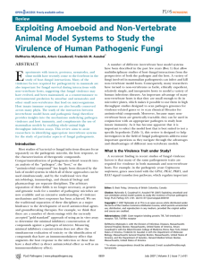 Exploiting Amoeboid and Non-Vertebrate Animal Model Systems to Study the