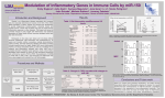 Modulation of Inflammatory Genes in Immune Cells by miR-150