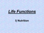 Life Functions  I) Nutrition