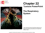 Chapter 22 *Lecture PowerPoint  The Respiratory