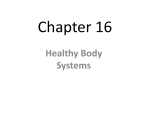 Chapter 16 Healthy Body Systems